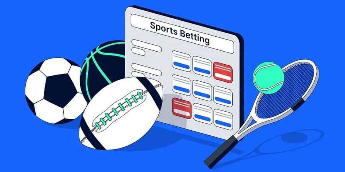 Top Insights right into a Premier Sports Betting Site