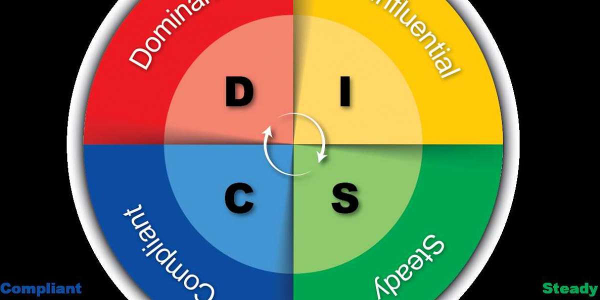 Como a Teoria DISC Transforma o Trabalho em Equipe e Potencializa Resultados